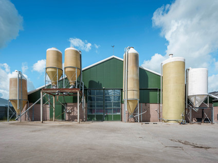 Flieterpsterdyk 49