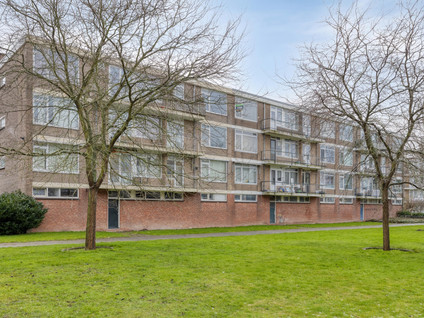 Ruigenhoek 7