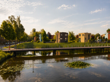 Waterdriebladlaan 49