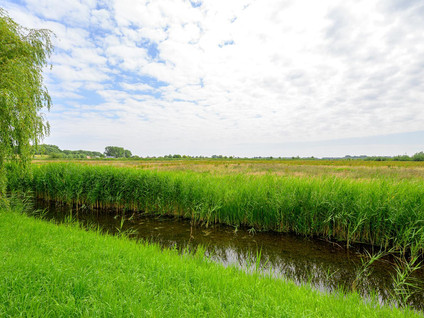 Droge Wijmersweg 5 029