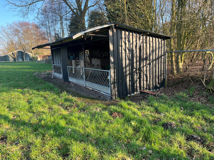 Weijenborgerdijk 