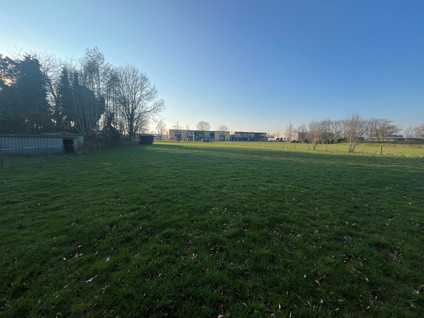 Weijenborgerdijk 