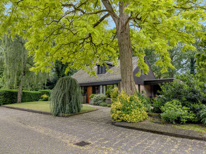 Wolferlanden 36