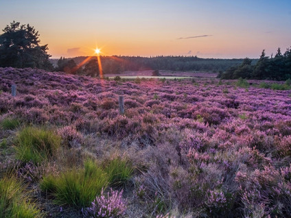 Terhoeksweg 1a