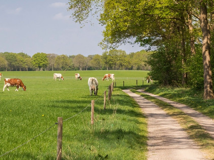 Terhoeksweg 