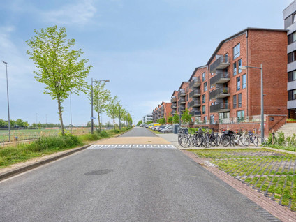 Stadhouderslaan 