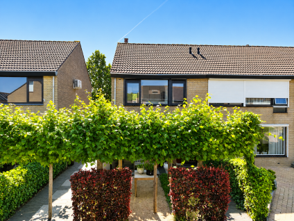 Brielsestraat 81