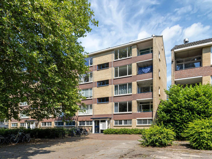 Dommelstraat 84