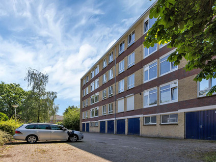 Dommelstraat 84
