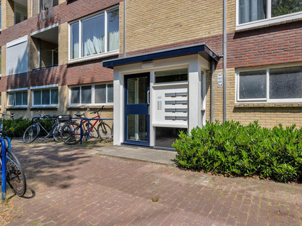 Dommelstraat 84