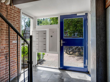 Dommelstraat 84