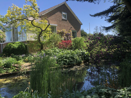 Maassluiseweg 17