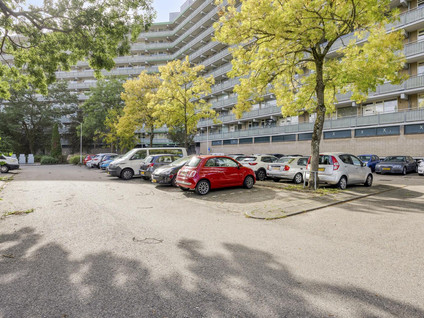 Stadhoudersring 676