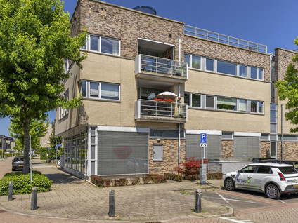 Dotterbloem 43