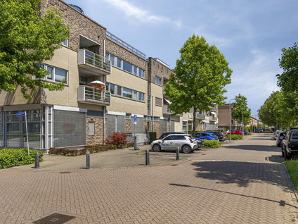 Dotterbloem 43