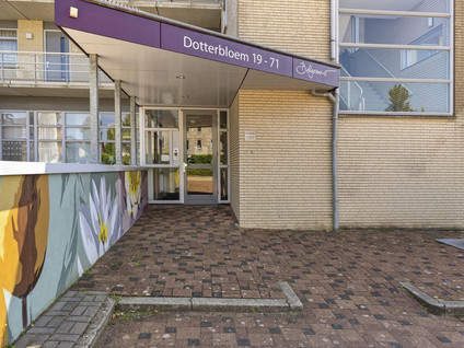 Dotterbloem 43