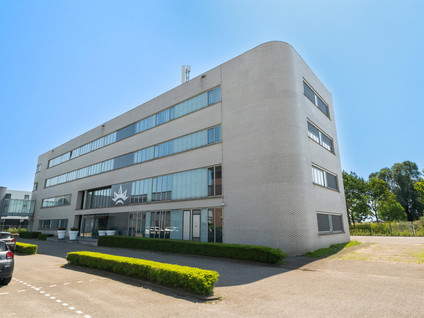 Tolnasingel 1