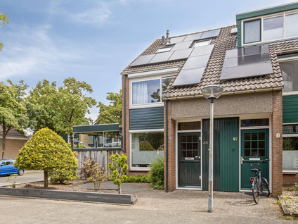 Sint Hubertus 45