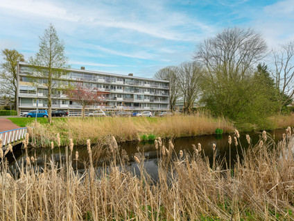 Saffierhorst 14