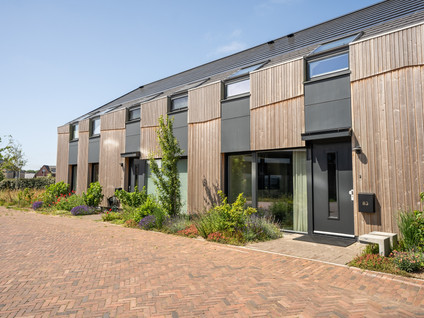 Vuurvlinder 83
