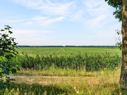 Westelijke Doorsnee NZ 60