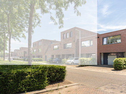 Potbeker 50
