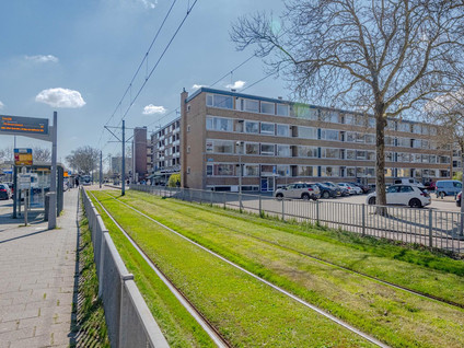 Anthony Tijkenstraat 4