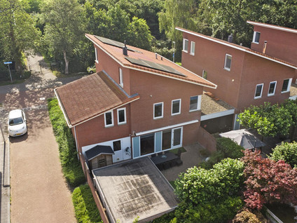 Vista 19