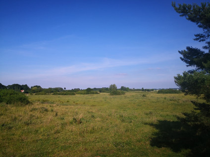 Smedekensbrugge 3