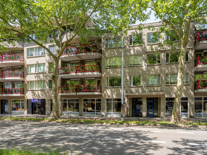 Schoonhoeve 39