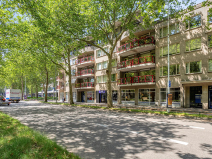 Schoonhoeve 39