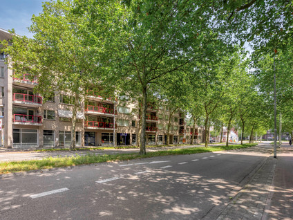 Schoonhoeve 39