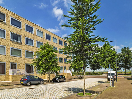 apartments for rent on Talbotstraat 223