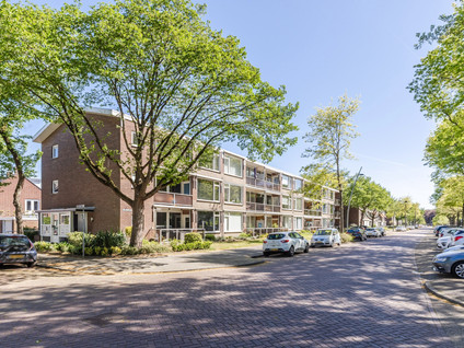 Vrijheidstraat 75