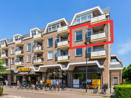 Rozemarijn 50