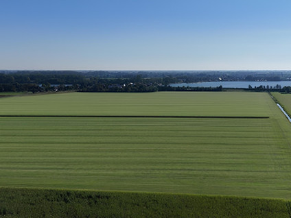 Vriezenweg 