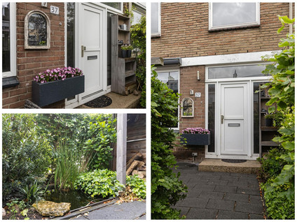 Frans Halsstraat 37