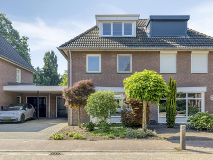 Korenbloem 8