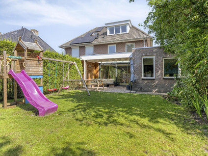 Korenbloem 8