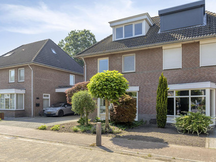 Korenbloem 8