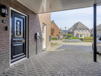 Korenbloem 8