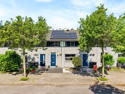 Het Hallehuis 79