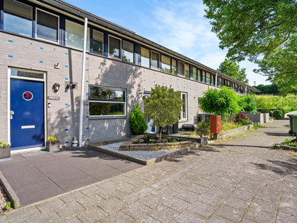 Het Hallehuis 79