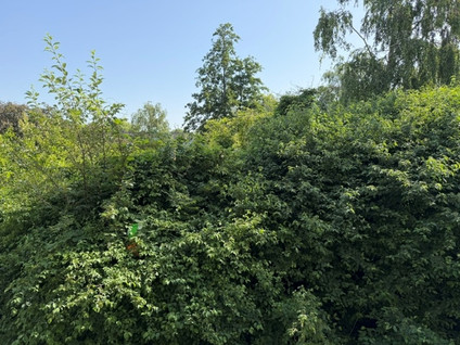 Chopinlaan 38