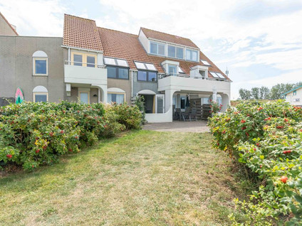 Zaete 3