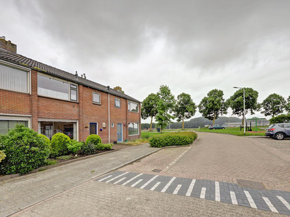 Zeekampen 4