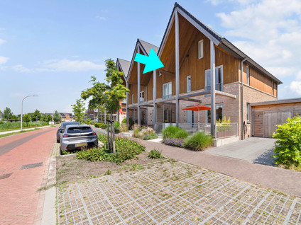 Aalscholver 8