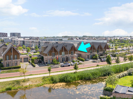 Aalscholver 8