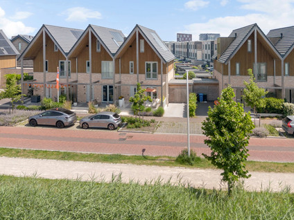 Aalscholver 8