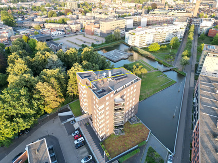 Wessex 135